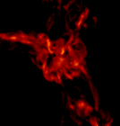 Picture for song 'Astro-B -- Red Falcon Projects Remix' by artist 'Lunar Testing Lab'