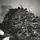 Picture for song 'Armed to the teeth' by artist 'Madness (CAN)'