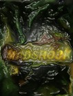 Picture for song 'THE INQUIRY' by artist 'MADTUNES'