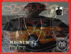 Picture for song 'Lovers paradise Magnumb eat.mp3' by artist 'Magnum Beats'