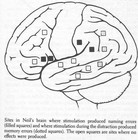 Picture for song 'Jambi (Out Of Memory Mix)' by artist 'Magus Pymp'