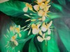 Picture for song 'Hilo Hula' by artist 'mainkaukau'