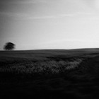 Picture for song 'SILENCE(FREEDL!2011...NOTAG)RV' by artist 'Major League Pro'