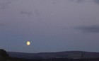Picture for song 'Late Nite' by artist 'Malcolm MacFarlane'
