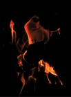 Picture for song 'Dark' by artist 'Marcel Guimond'