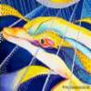 Picture for song 'ALGO EXTRAORDINARIO' by artist 'Marco Antonio'