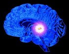 Picture for song 'Pineal Gland Optics Breakdown' by artist 'Mark Hawkins'