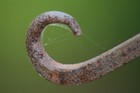 Picture for song 'Rusty Hook' by artist 'Mark Hawkins'