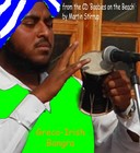 Picture for song 'BOB-03 Greco-Irish Bangra' by artist 'martin stirrup'