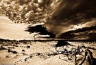 Picture for song 'Just Epic | *Free DL*' by artist 'MasterEBeats'