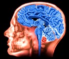 Picture for song 'Brain Dead' by artist 'Matt Vick'