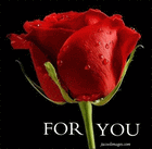 Picture for song 'FOR YOU.' by artist 'MAXPAYNE MUZIK'