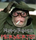 Picture for song 'PERVERTS - MunkyRhymes (Hustler and Enkore)' by artist 'MC DEVIL MUMBAI'