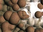 Picture for song 'skippin' stones' by artist 'mellosonic'