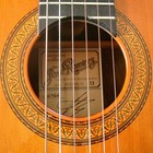 Picture for song 'Joe's Song' by artist 'Michael Gargano'