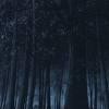 Picture for song 'Views from an Ethereal' by artist 'Michael Obermeyer'