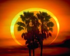 Picture for song 'Afrika' by artist 'M.I.C. Productions (CAN)'