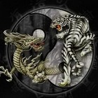 Picture for song 'mwg' by artist 'MIDWEST HUSTLAZ'