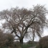 Picture for song 'November' by artist 'Mike Stillman'