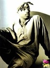 Picture for song 'The Essense II' by artist 'Mind Harmony Musiq'