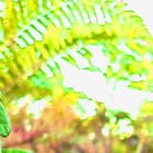 Picture for song 'Blah' by artist 'Mira's Musiclab'