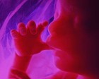 Picture for song 'In the Womb' by artist 'Mistedge'
