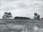 Picture for song 'Under the Grey Sky' by artist 'Mistedge'