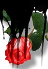Picture for song 'Never Ever Pt.2 (remix)' by artist 'Mnemonic Devize'