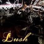 Picture for song 'Treat Me Like A Criminal' by artist 'Morning Lush'