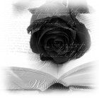 Picture for song 'ID;Peace B (English)' by artist 'Morningstarfairy'