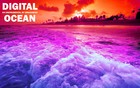 Picture for song 'Digital Ocean' by artist 'Mr.Kooman'