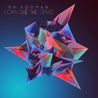 Picture for song 'I Can See The Stars' by artist 'Mr.Kooman'