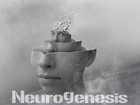Picture for song 'Neurogenesis' by artist 'Mr.Kooman'
