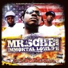 Picture for song 'Mr.Sche - Rain' by artist 'MrSche Immortal Lowlife'
