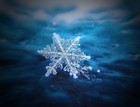 Picture for song 'Cold breath' by artist 'MrTale'