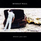 Picture for song 'Where You Are' by artist 'Murray Wall'