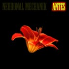 Picture for song 'Antes' by artist 'Neuronal Mechanik'