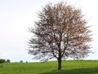 Picture for song 'Now that the Summer's Over' by artist 'Newbody'