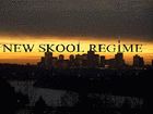 Picture for song 'This That Real! (Jaze Dubya)' by artist 'New Skool Regime'