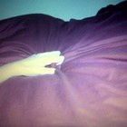 Picture for song '3 AM' by artist 'NiceGuyBeats'