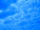 Picture for song 'Freely' by artist 'Nima Shokouhi'