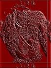 Picture for song 'traidores' by artist 'nirmanakaya'