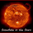 Picture for song 'Snowflake in the Stars' by artist 'Noah Cohn'