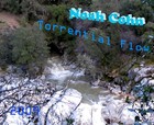 Picture for song 'Torrential Flow' by artist 'Noah Cohn'