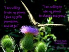 Picture for song 'Will' by artist 'Northern Spirit Chant Ministry'