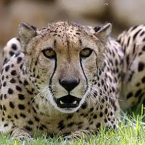 Picture for song 'NappTime After Dark#17 Stack it Up ' by artist 'NT-D2011'