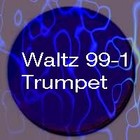 Picture for song 'PSR-180 Electronic Pop- Waltz 99-1 Trumpet' by artist 'Numi Who'