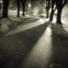 Picture for song 'Shadows.' by artist 'NuVeaux Rich'