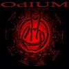 Picture for song 'WHAT YOU DO IS WHAT YOU ARE' by artist 'OdIUM (Swe)'