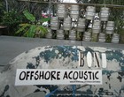 Picture for song 'School are for fish' by artist 'Offshore Acoustic'